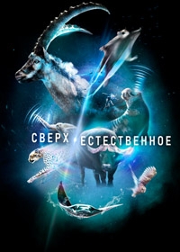 Сверх/Естественное 1 сезон